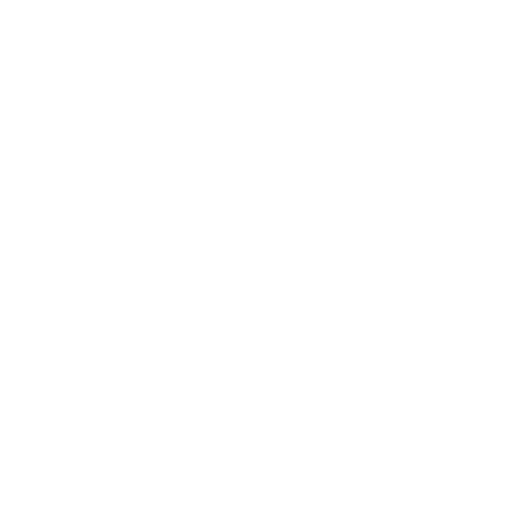 captain villa logo white